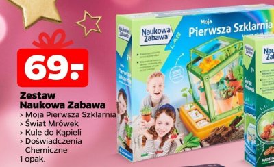 Zestaw Naukowa Zabawa Moja Pierwsza Szklarnia 7+ promocja w Netto