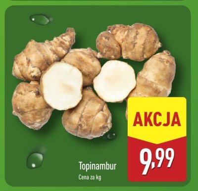 Topinambur promocja w Aldi