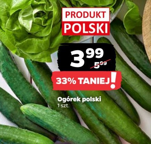 Ogórek krótki promocja w Netto