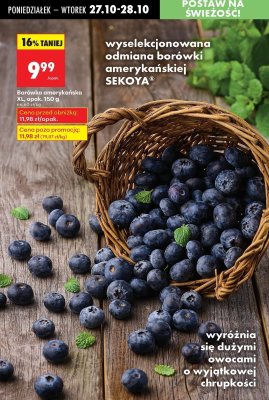Bor贸wka ameryka艅ska promocja w Biedronka
