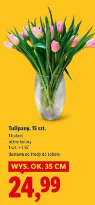 Tulipany bukiet promocja w Lidl