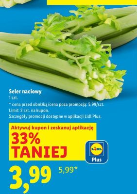 Seler naciowy 1 szt. promocja w Lidl