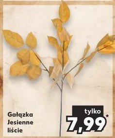 Ga艂膮zka jesienne li艣cie promocja