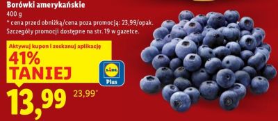 Borówki amerykańskie 400 g promocja w Lidl
