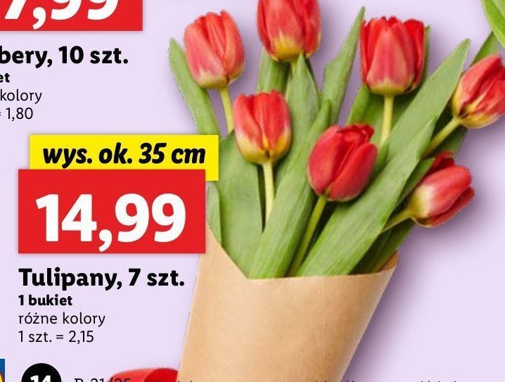 Tulipany bukiet 35 cm promocja