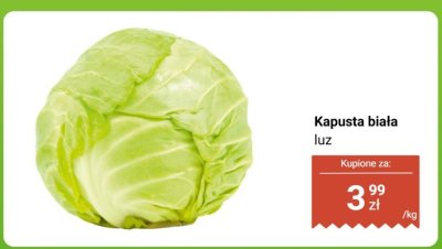 Kapusta biała luz promocja w Biedronka