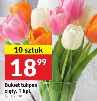 Bukiet tulipan cięty, 1 kpl. promocja w Twój Market
