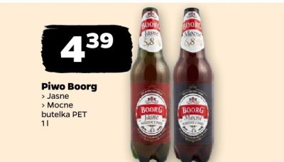 Piwo promocja w Netto