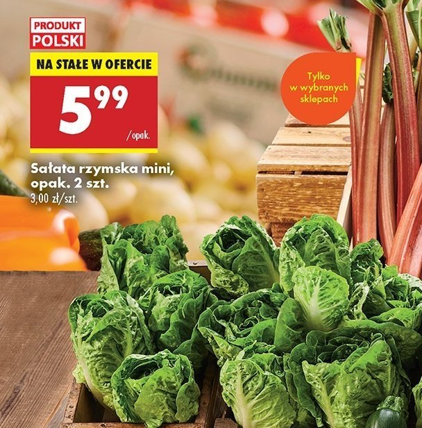 Sałata rzymska mini promocja