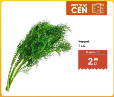 Koperek promocja w Biedronka