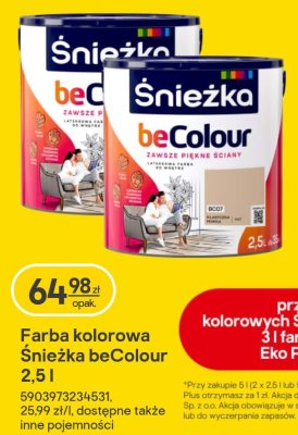 Farba kolorowa Śnieżka beColour 2,5 l promocja w Castorama