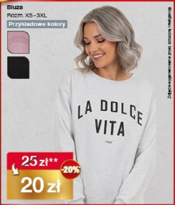 Bluza damska LA DOLCE VITA Rozm. XS - 3XL promocja w Woolworth
