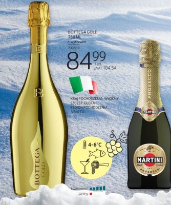 Wino musujące BOTTEGA GOLD 750 ML promocja w Selgros