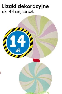 Lizaki dekoracyjne ok. 44 cm promocja w Tedi