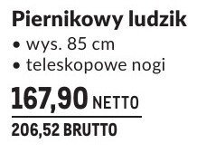 Piernikowy ludzik promocja w Makro