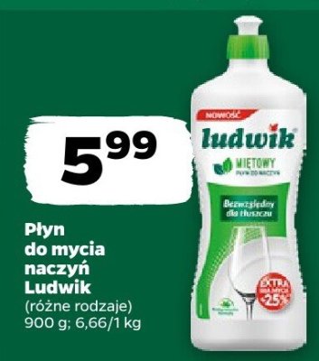 Płyn do mycia naczyń, różne rodzaje promocja w Netto