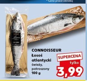 艁oso艣 atlantycki patroszony Connoisseur promocja