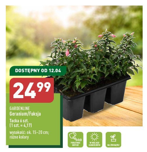 Geranium tacka GARDEN LINE promocja