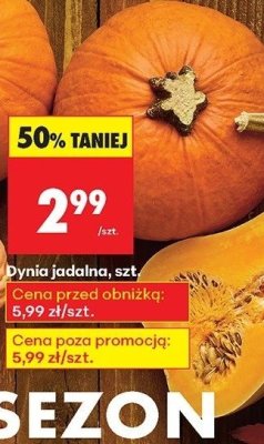 Dynia promocja w Biedronka