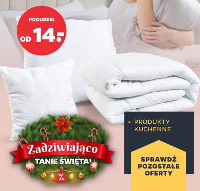 Poduszki promocja w Netto