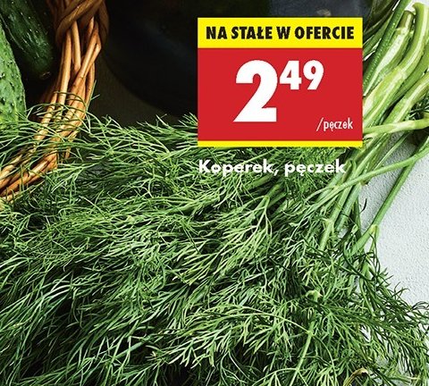 Koperek promocja w Biedronka