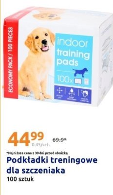 Podkładki treningowe dla szczeniaka promocja w Action