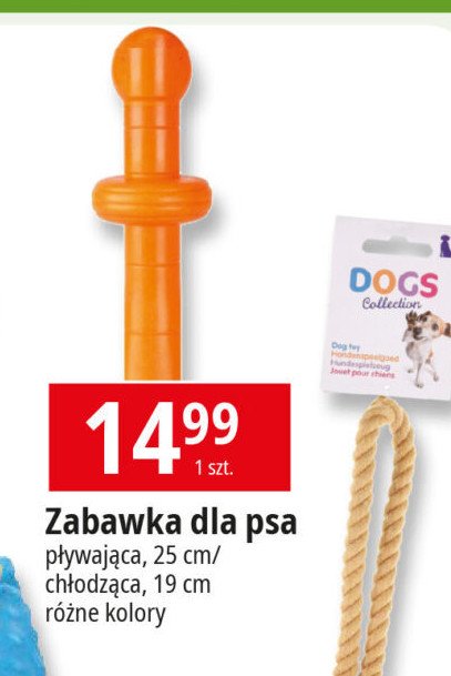 Zabawka dla psa chodząca promocja