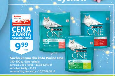 Karma dla kota adult łosoś i pełne ziarna Purina one promocja