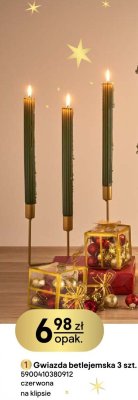 Gwiazda betlejemska 3 szt. promocja w Castorama