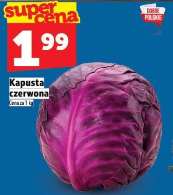 Kapusta czerwona kiszona Kowalewski bio promocja w TOPAZ