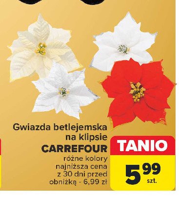 Gwiazda betlejemska na klipsie Carrefour promocja w Carrefour Market