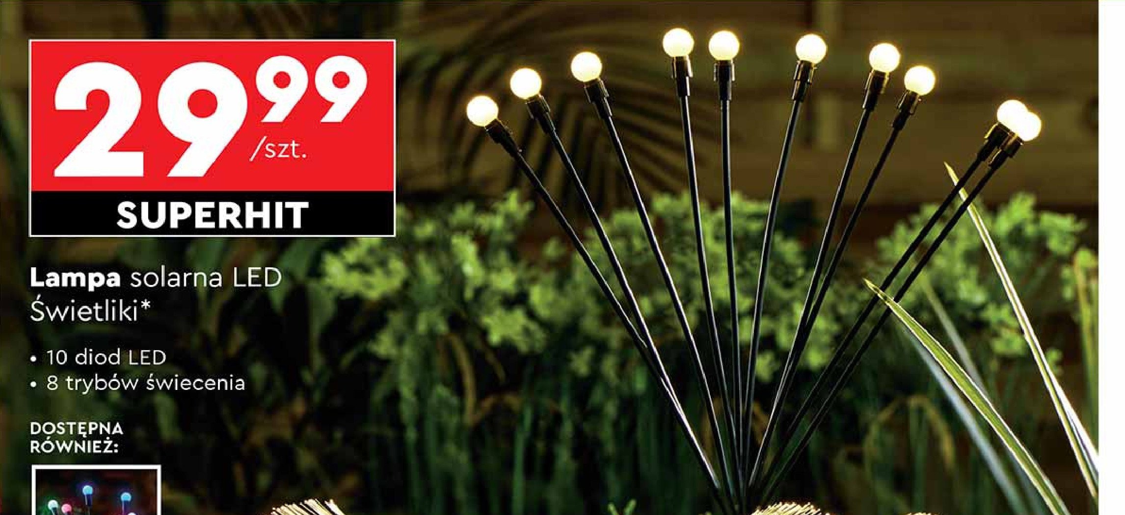 Lampa solarna 10 led promocja w Biedronka