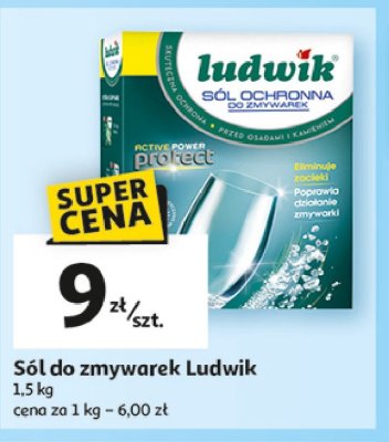 S贸l ochronna do zmywarek Ludwik promocja