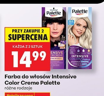 Farba do włosów Intensive Color Creme Palette różne rodzaje promocja w Biedronka
