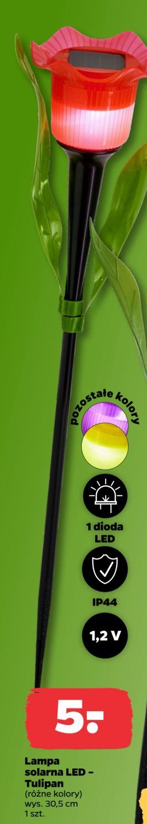 Lampa solarna tulipan promocja w Netto