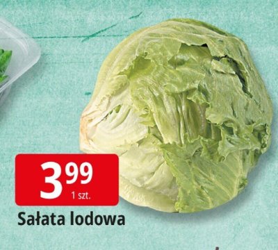 Sałata lodowa promocja w Leclerc