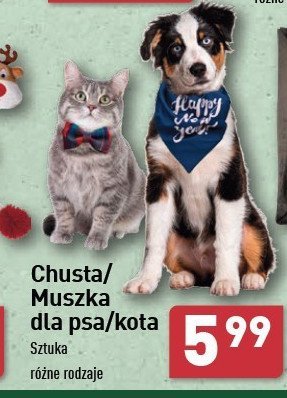 Chusta dla psa promocja