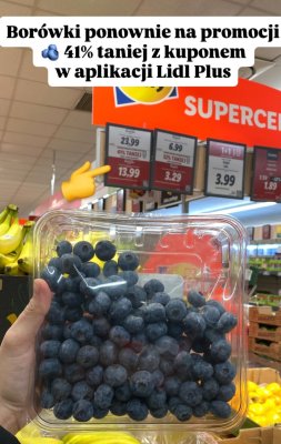 Borówki amerykańskie  promocja w Lidl