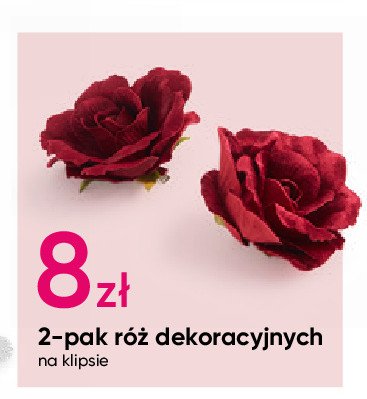 Róże dekoracyjne promocja