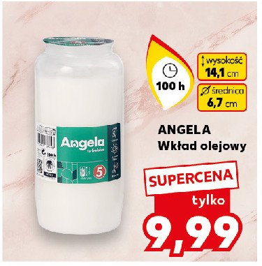 Wkład olejowy 100 h Angela promocja