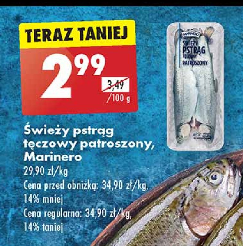 Pstr膮g t臋czowy patroszony Marinero promocja