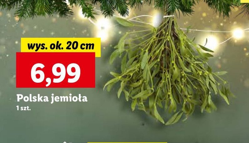 Jemioła promocja