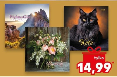 Kalendarz ścienny 2026 Piękno Gór promocja w Kaufland