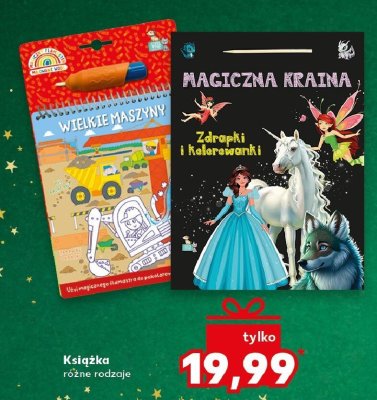 Książka różne rodzaje Kaufland promocja w Kaufland