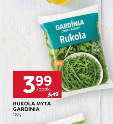 Rukola myta gardinia promocja w Stokrotka