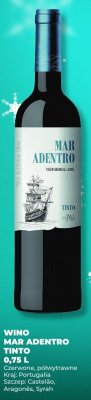 Wino MAR ADENTRO TINTO czerwone półwytrawne Castelao, Aragonês, Syrah 0,75 L promocja w Duży Ben