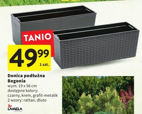 Donica do kwiatów begonia 19 x 56 cm czarna Lamela promocja
