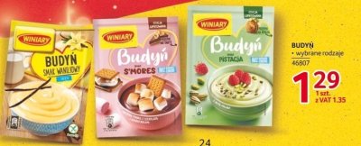 Budyń Winiary wybrane rodzaje promocja w Selgros