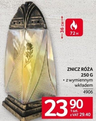 Znicz róża promocja w Selgros