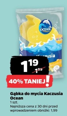 Gąbka do mycia Kaczusia Ocean promocja w Netto
